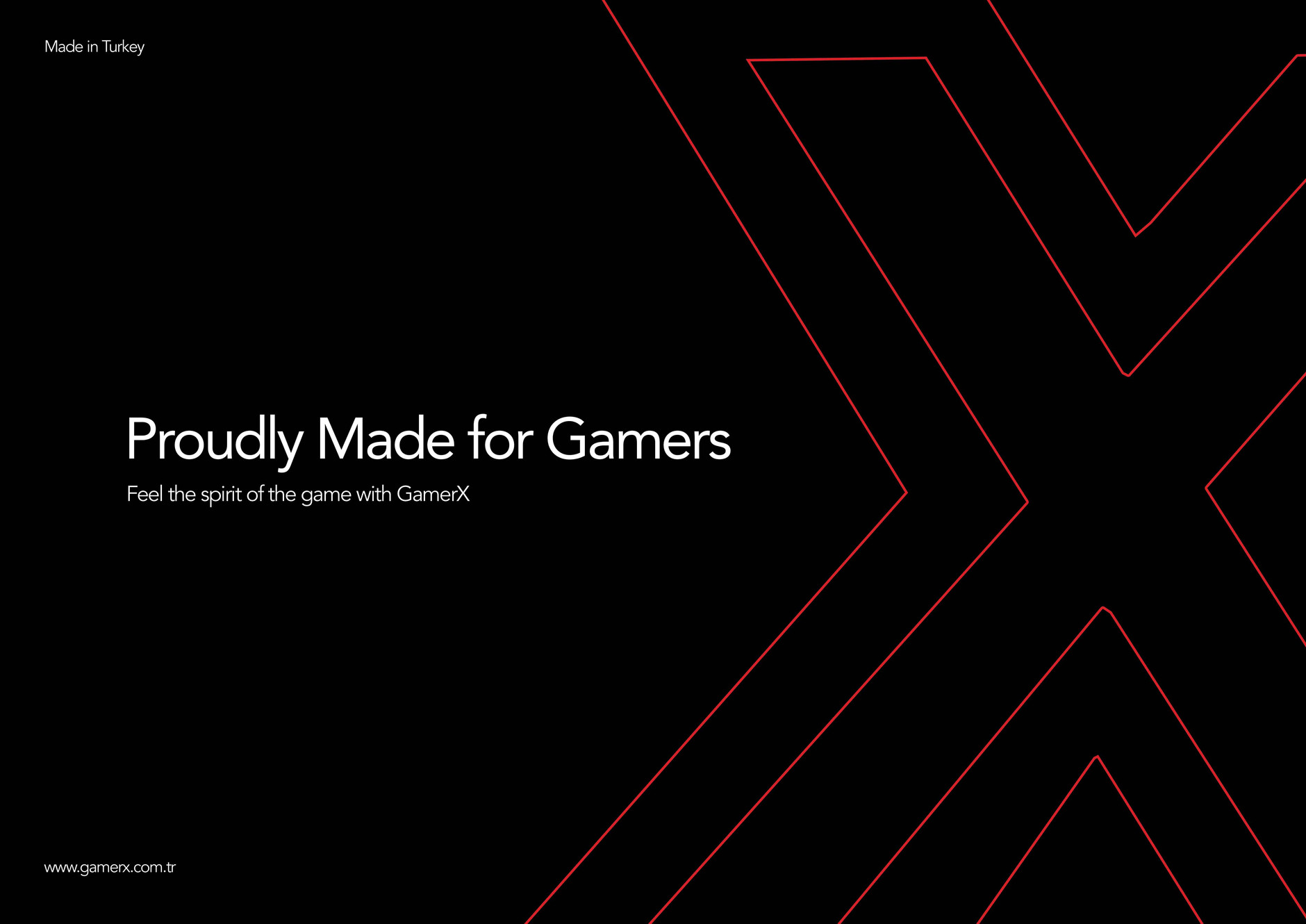GamerX