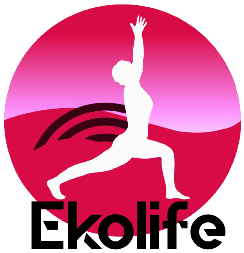 Ekolife Otomotiv Medikal