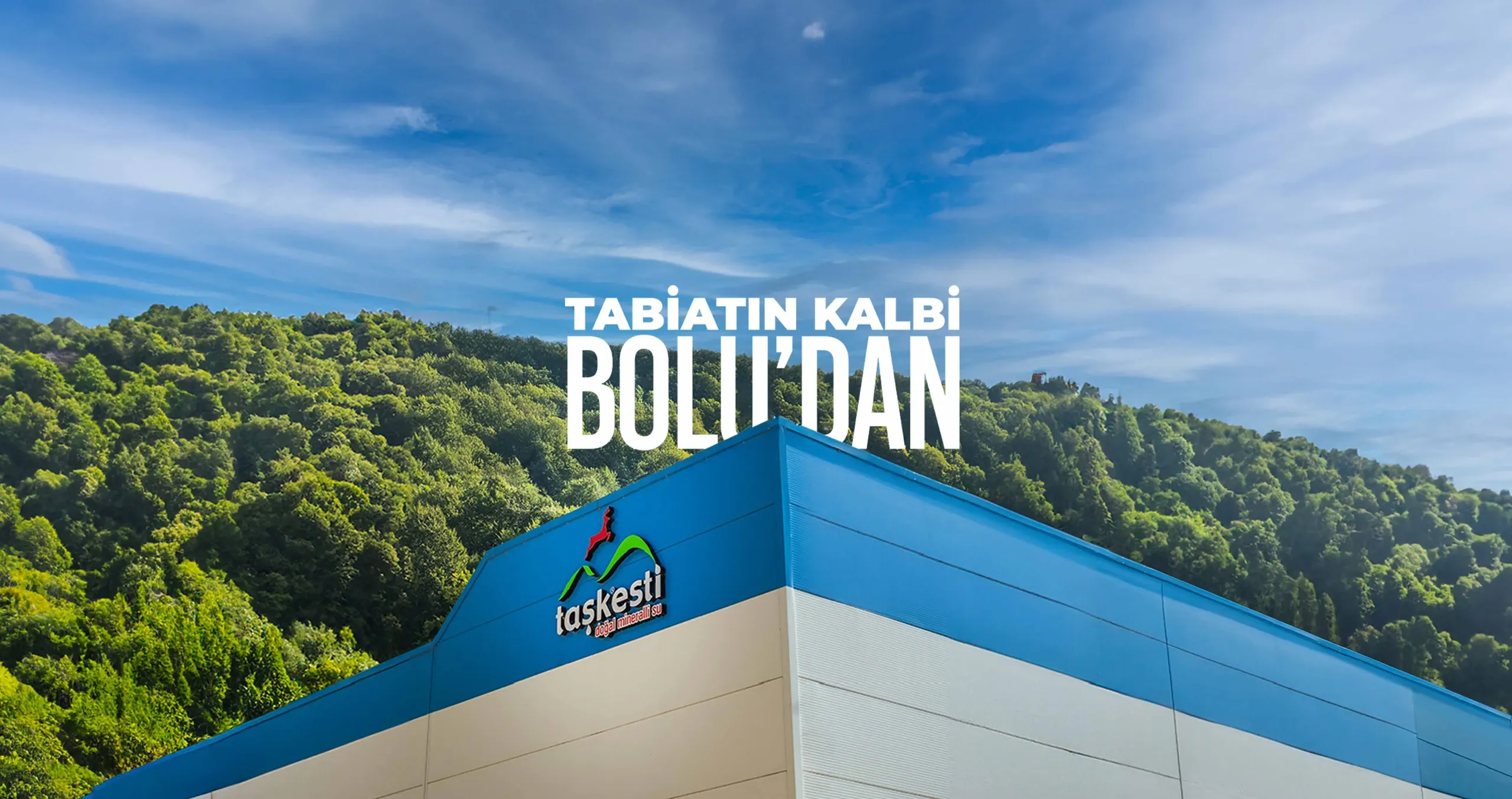 Taşkesti Su