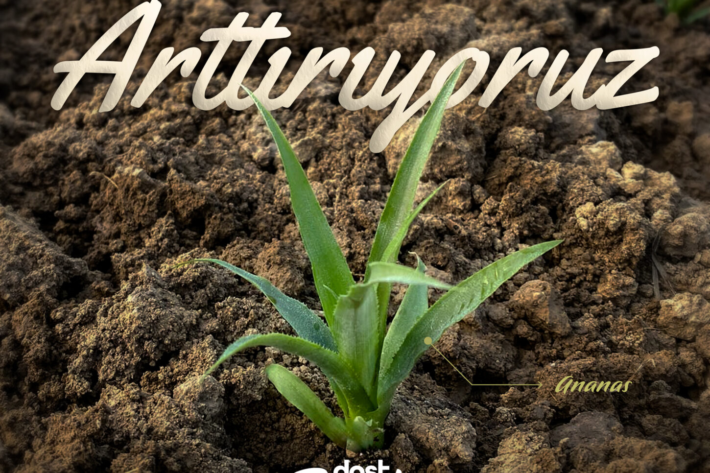 Dost Tropik Tarım Sanayi ve Ticaret A.Ş.