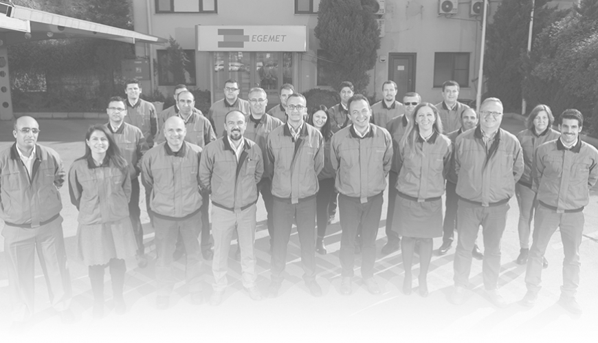 Egemet Ege Metal Dövme Sanayi ve Ticaret Ltd. Şti.