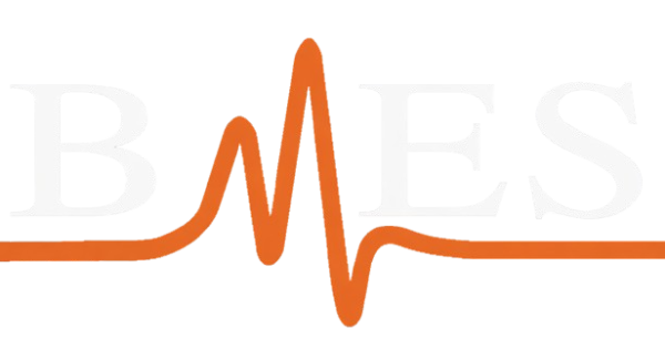BMES Ayakkabı