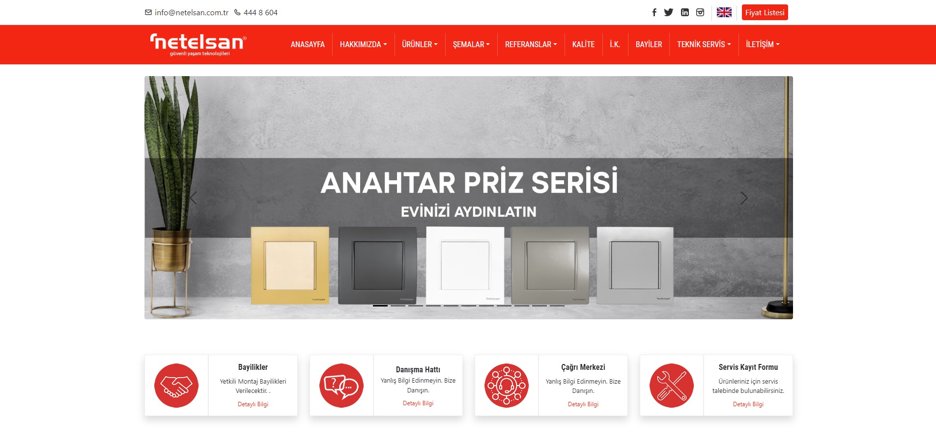 Netelsan
