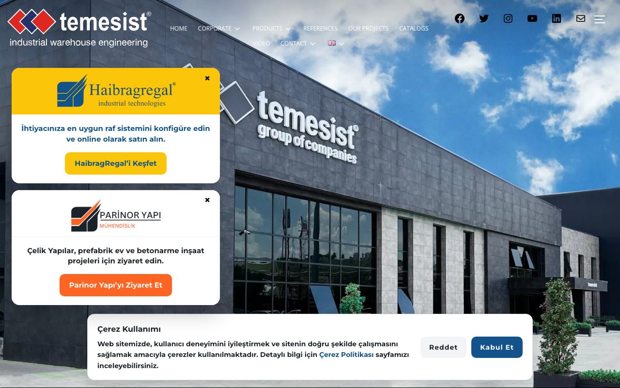 Temesist