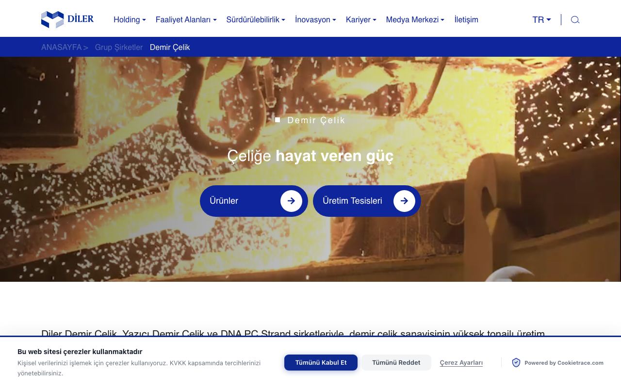 Diler Demir Çelik Endüstri ve Ticaret A.Ş.